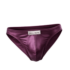 Shimmer Burgundy Bikini