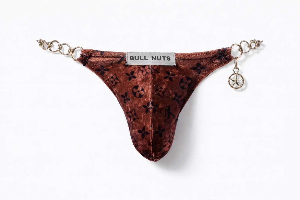 Sheen Bikini with chain  [INTIMATE WEAR]
