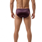 Shimmer Burgundy Bikini