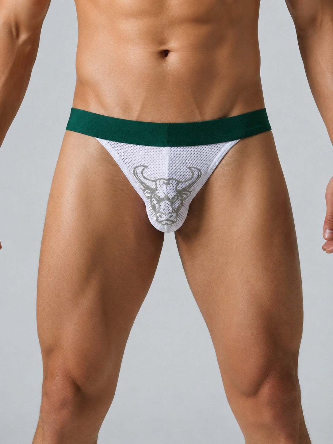 Aurox Mesh Fit