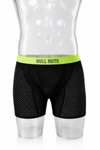 Bull Nuts Muse