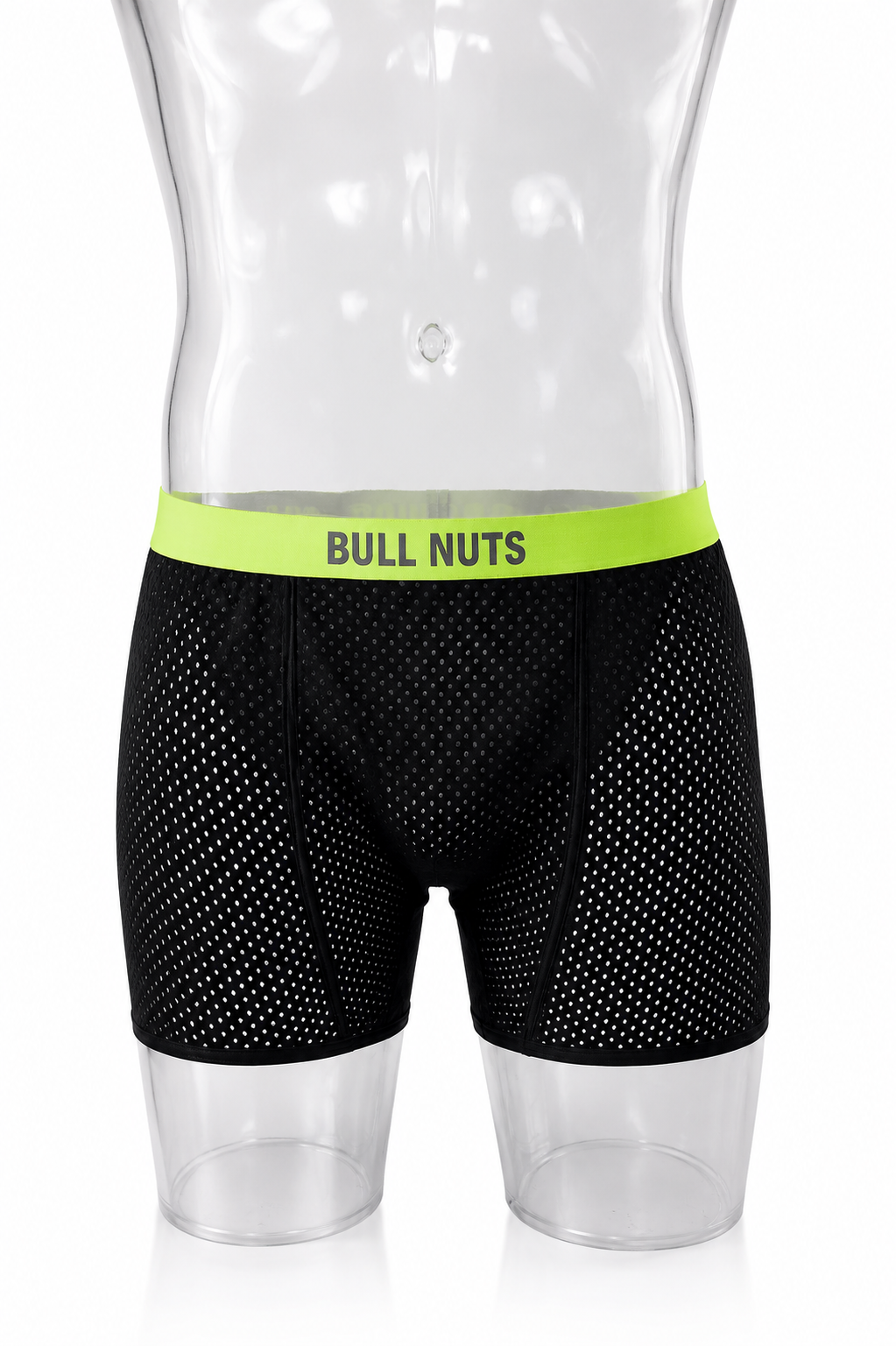 Bull Nuts Muse